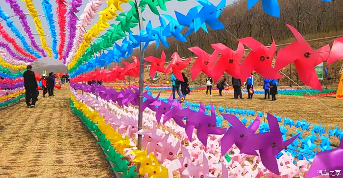 你好2021初春自驾风车节下