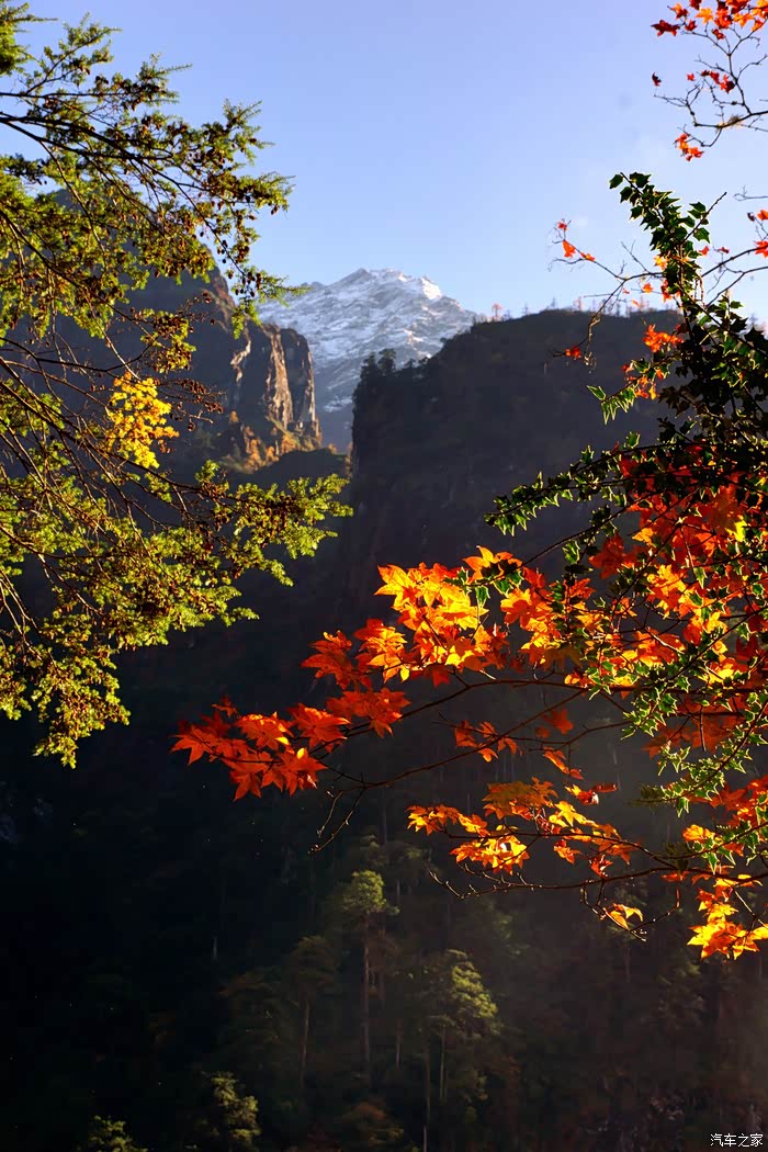 醉山醉美醉红枫【自驾羊大垴】