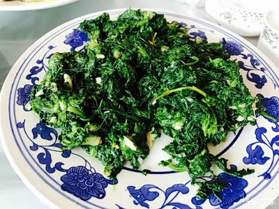 【京车会】春游活动之大兴梨花村