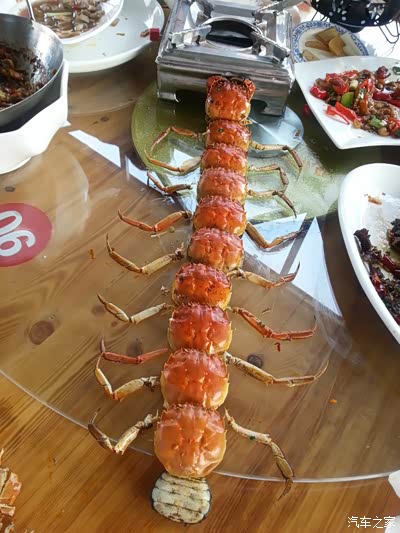 螃蟹蜈蚣闪亮登场