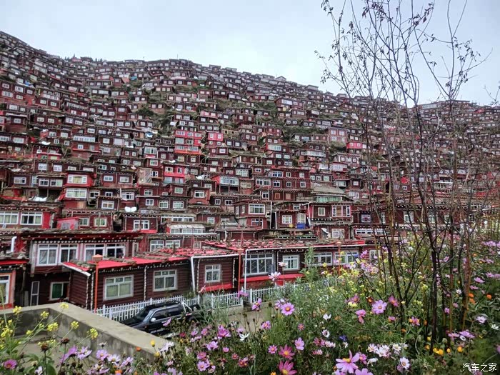 密密麻麻的佛学院红房子,怎么样,壮观吧?