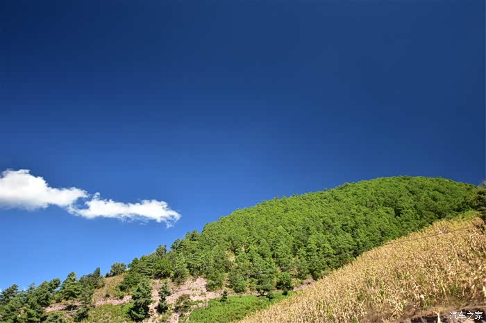 大理永平宝台山国家森林公园