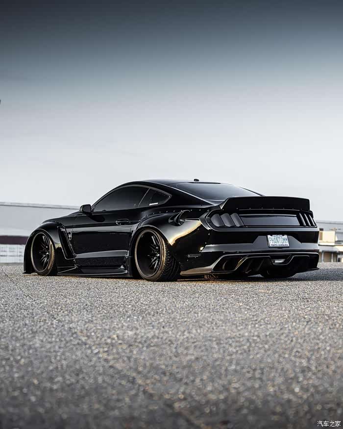 一匹宽体贴地野马!够时尚大气