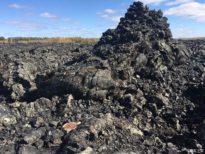 偶然间选择了你,大白