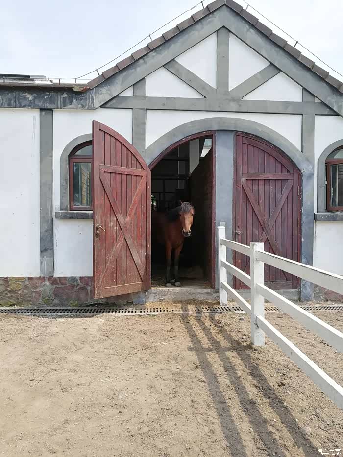 马术公园里的马厩和马,说是有汗血宝马的,没见到