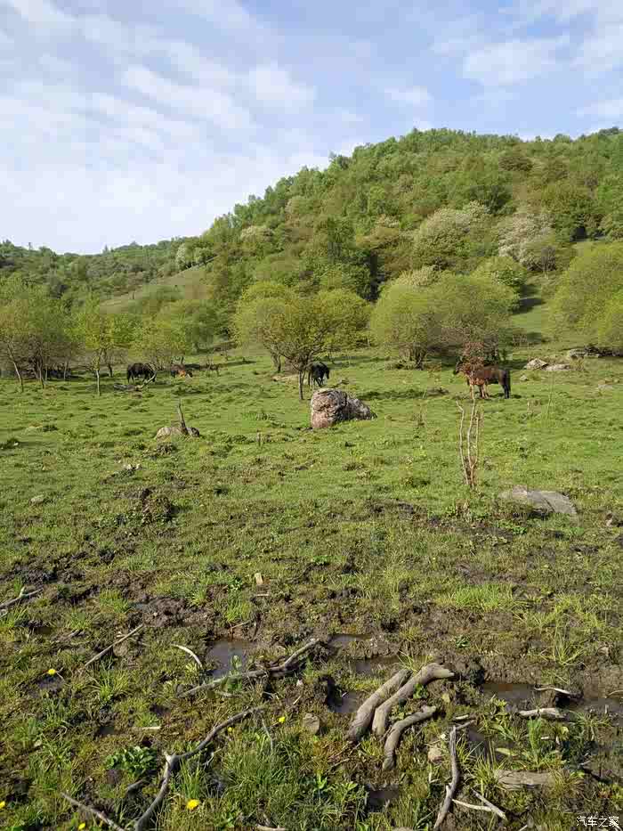 【图】陕西荣威w5陇县老爷岭行20170519_荣威w5论坛_汽车之家论坛