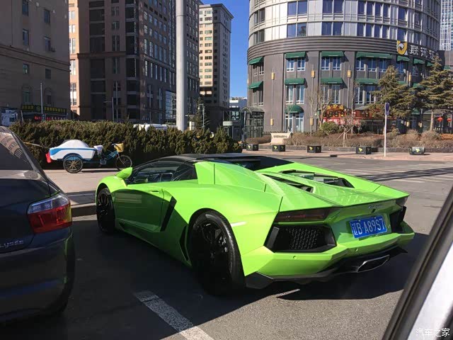 【图】大连偶遇大牛_兰博基尼论坛_汽车之家论坛