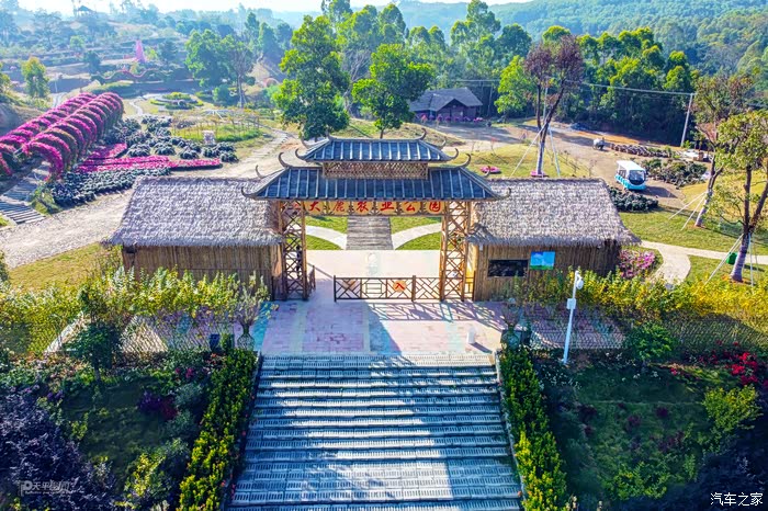 【新年迎好运】心怀暖阳拥抱春天,打卡揭西网红景点大鹿农业公园