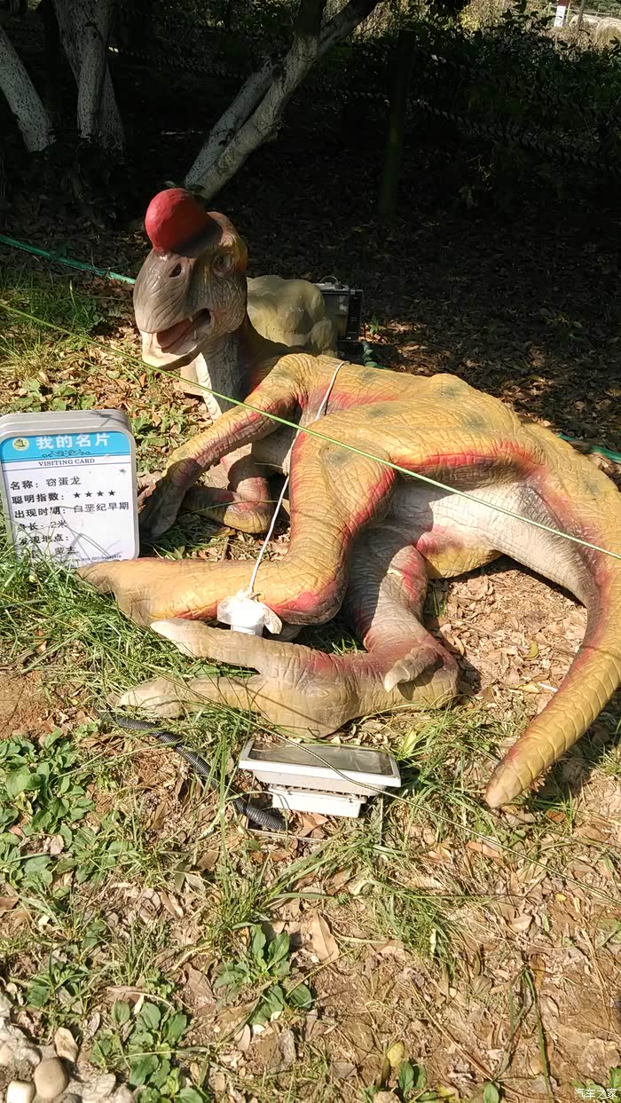 金秋十月周末亲子游(一)--东湖牡丹园恐龙谷