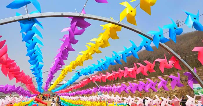 你好2021初春自驾风车节下