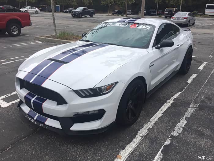 【图】加州野马眼镜蛇shelby gt350特写_mustang论坛_汽车之家论坛