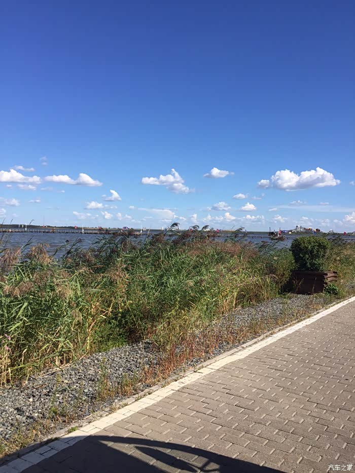 呼兰河口湿地公园