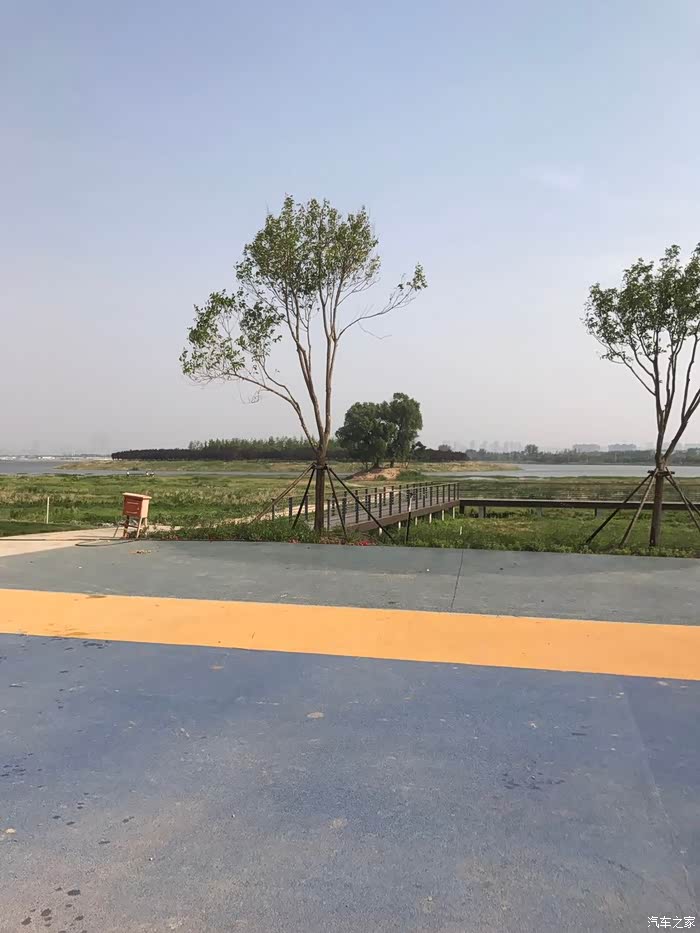 一个高岗上长着两人棵大柳树