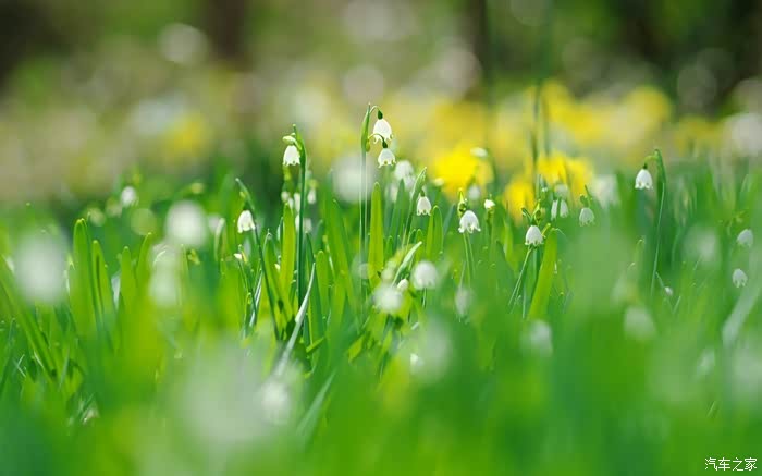 春季出行拥抱大自然呼吸清新空气