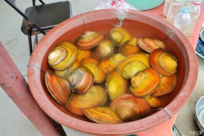 驱车驰骋在黄河滩湿地九夏阳瀵