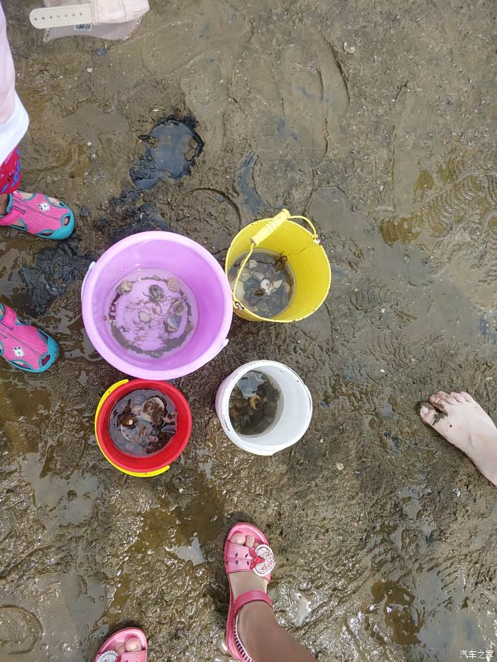 莱州市虎头崖赶海