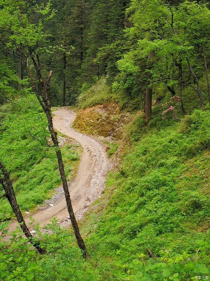 【图】雨季九里岗山路险象环生_四川论坛_汽车之家论坛
