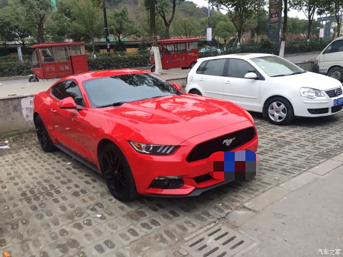 【图】红色的小马驹,帅,帅,帅!_mustang论坛_汽车之家论坛