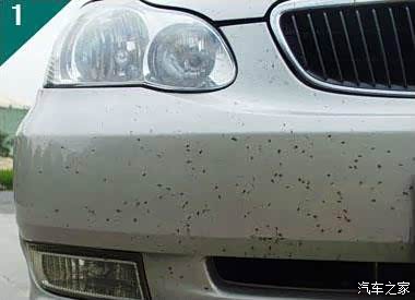 图 分享几个清除车身树胶,虫胶,沥青的方法