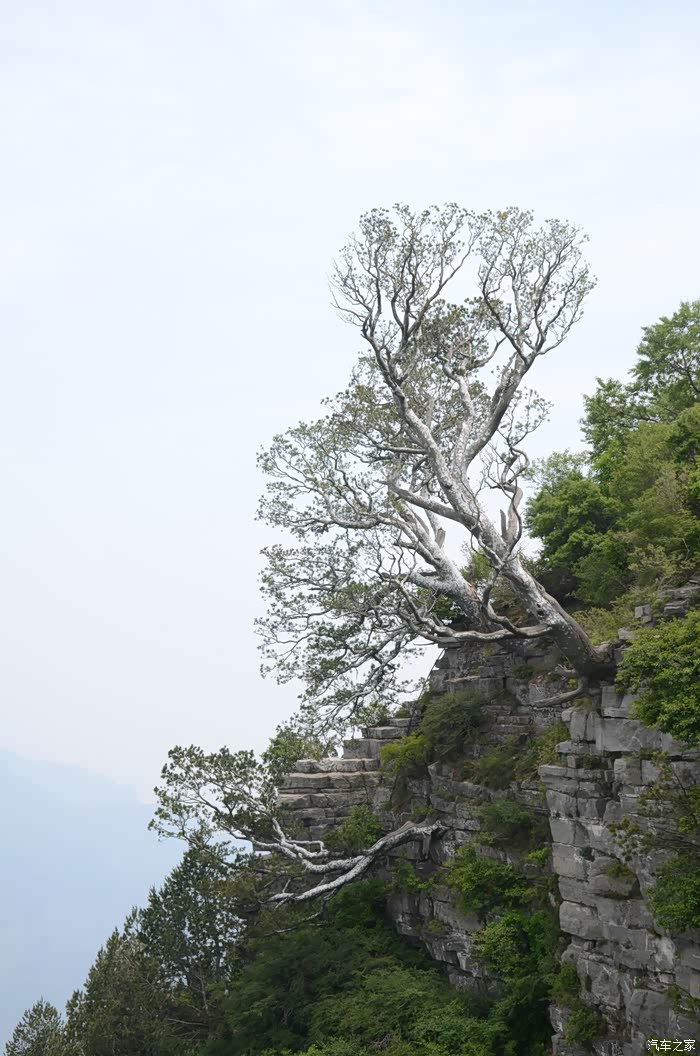 2016暑假神农山游记