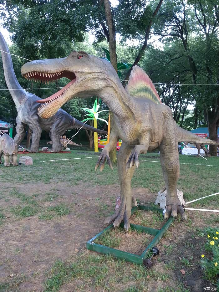 恐龙模型会叫会动这条食肉脊龙看它尖爪子就知道厉害离它食草雷龙角