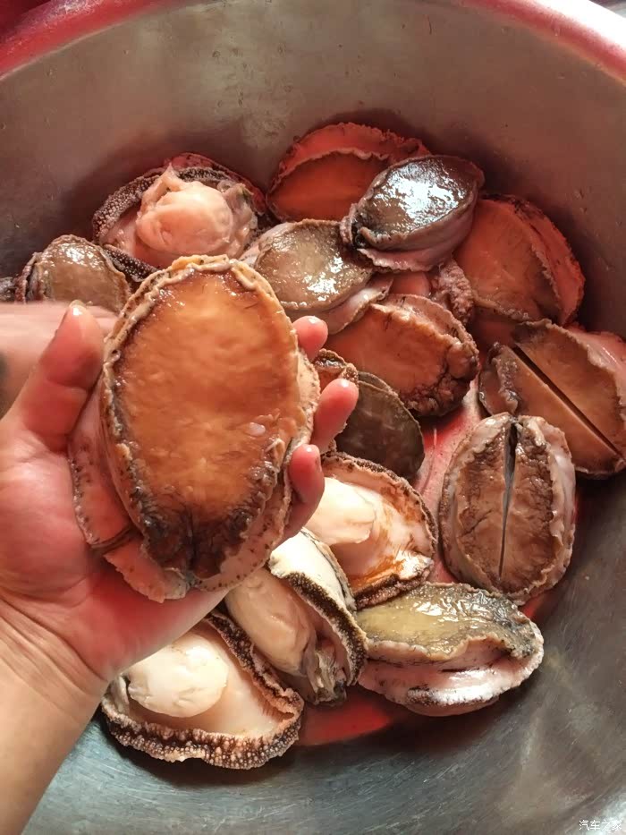 刚杀好的大鲍鱼