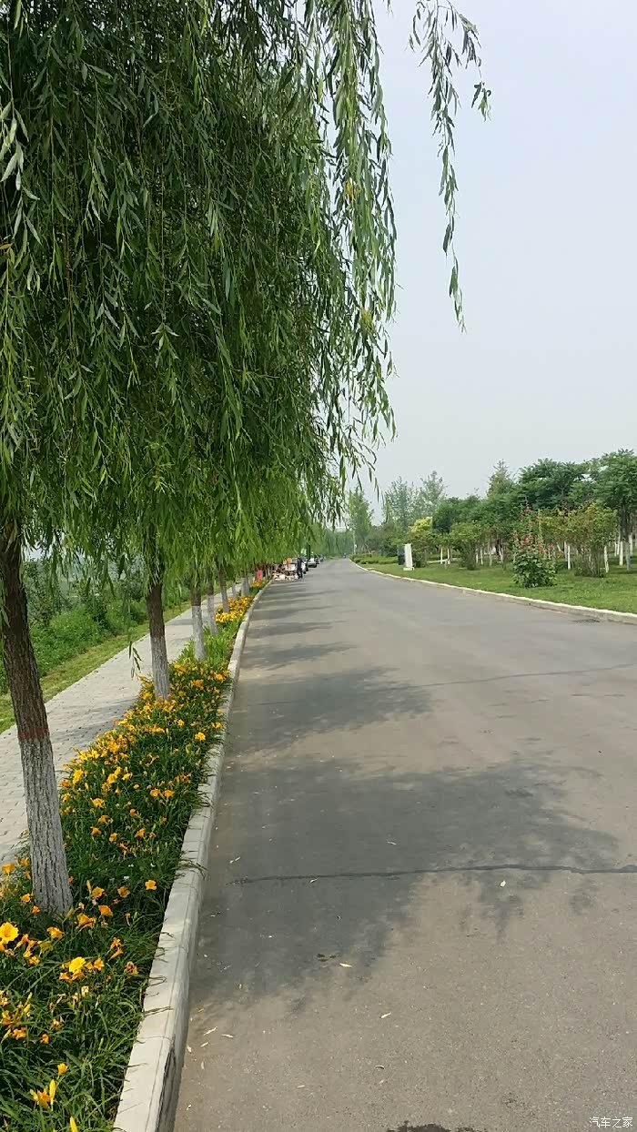 河堤路,记得以前车很多,估计还没到盛夏
