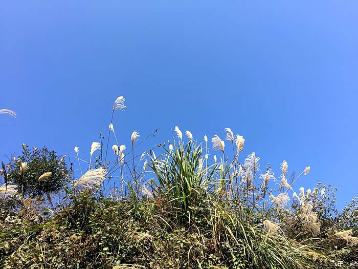 冬日暖阳,清风徐来——这里的天空分外蓝!