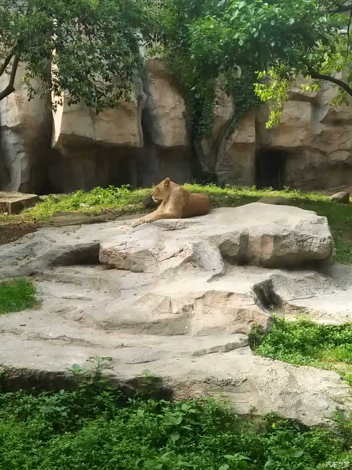 四川长安巴中分会快乐时光与爱车小逸动物园游玩记