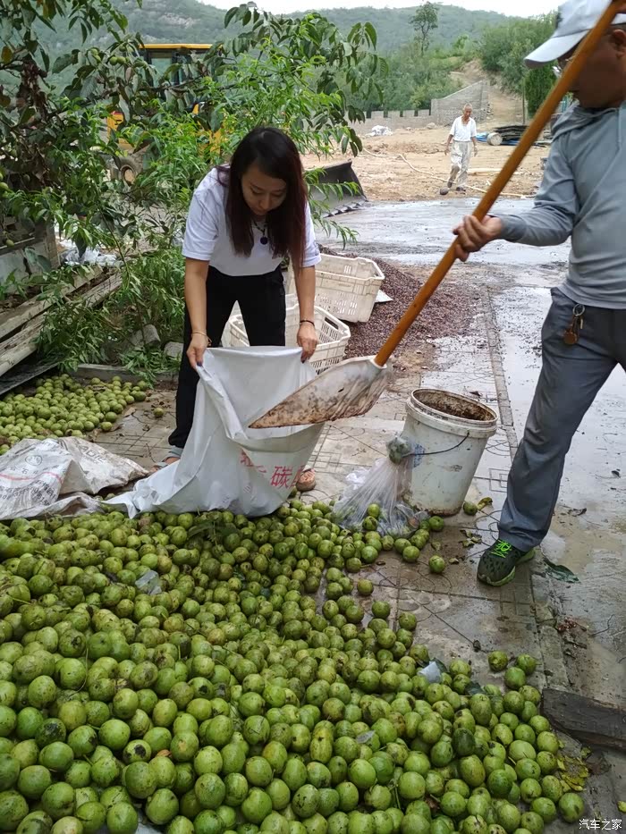 石家庄cs35车友会进山摘核桃