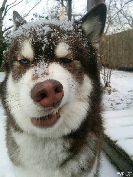 求问在浙江提的车临牌快到期了现在