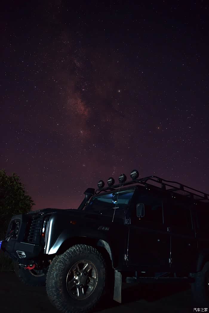 狂野周末放虎归山一多图