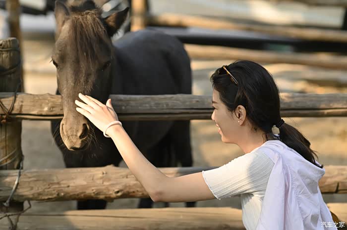 英国真土豪都开什么车女留学生的伦敦见闻实录