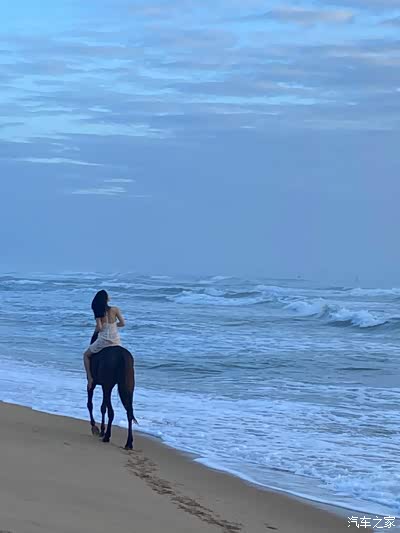 夕阳落在我的铠甲 我的公主骑着黑马在大海边