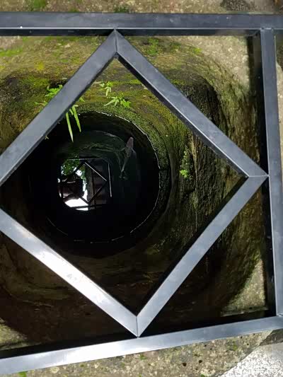 这口井名字叫做龙宅古井被围起来感觉神秘井水里面居然还养条黑色鲤鱼