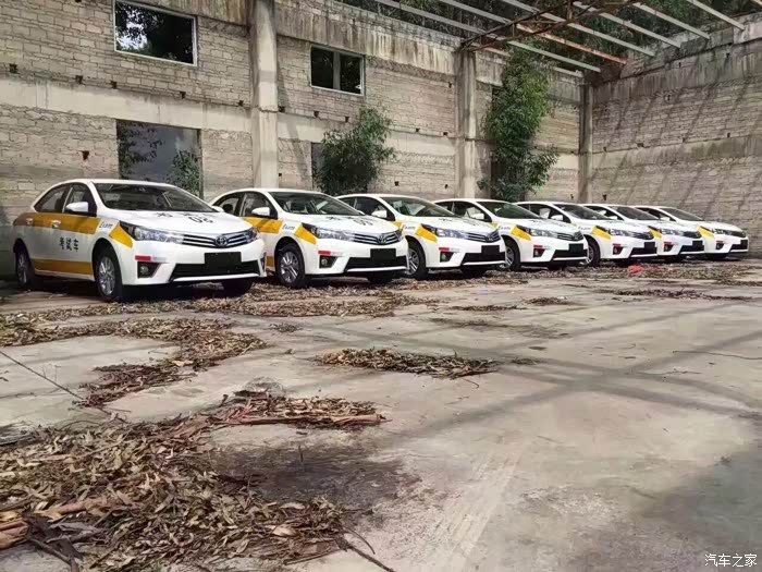 没想到,教练车也有卡罗拉了!