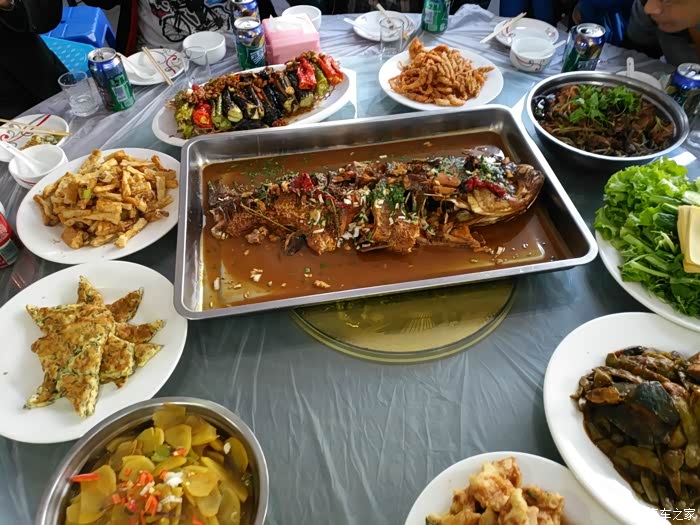 新立城荷花塘度假山庄一日游