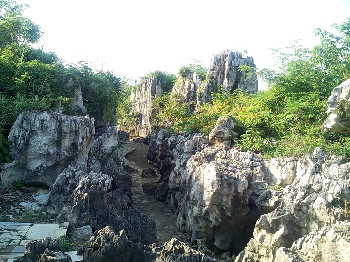 崇左石景林游记