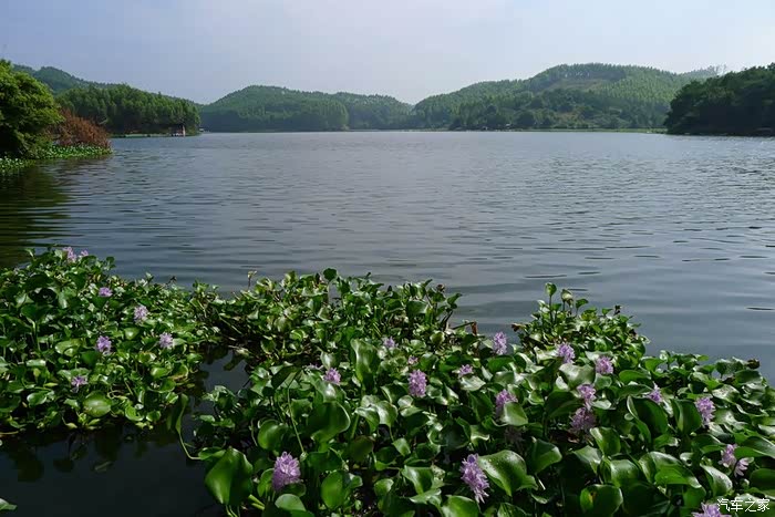 寻找桂林之美狮子口水库至咸进村行记