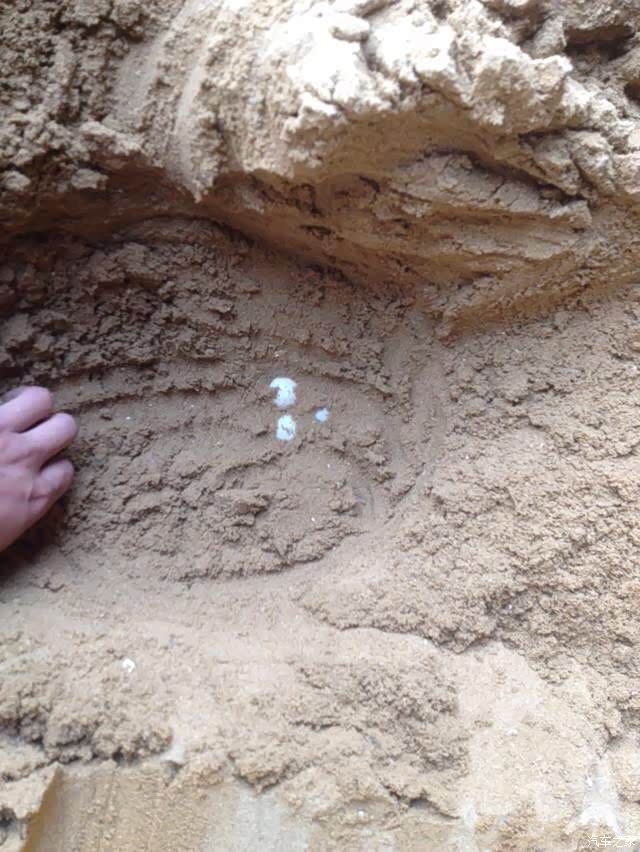 【图】呜呜呜,王八死了,王八真的死了._广西论坛_汽车之家论坛