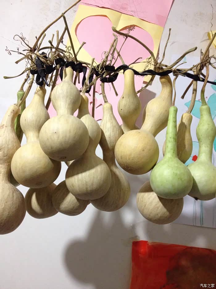 葫芦 福禄 小葫芦 金刚葫芦娃!