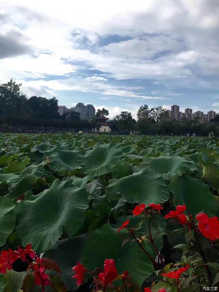 重庆快乐哥昆明翠湖公园漫步