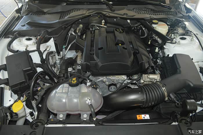 新提野马镀晶,大家给鼓鼓掌