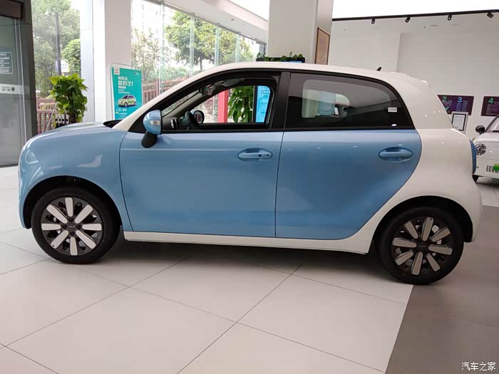 黑猫蓝白双拼很是喜欢