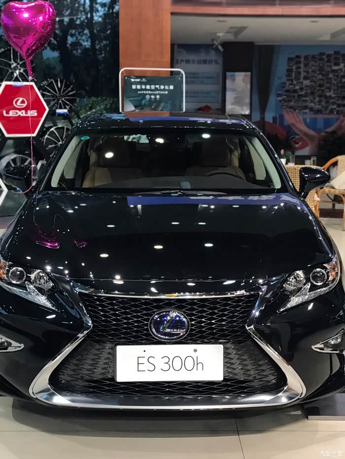 es300改蜂窝中网