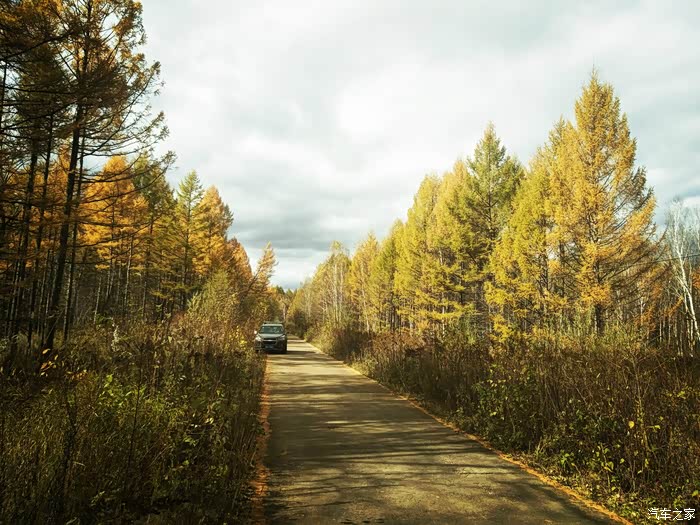 国庆进入"无人区",穿越金秋的原始森林