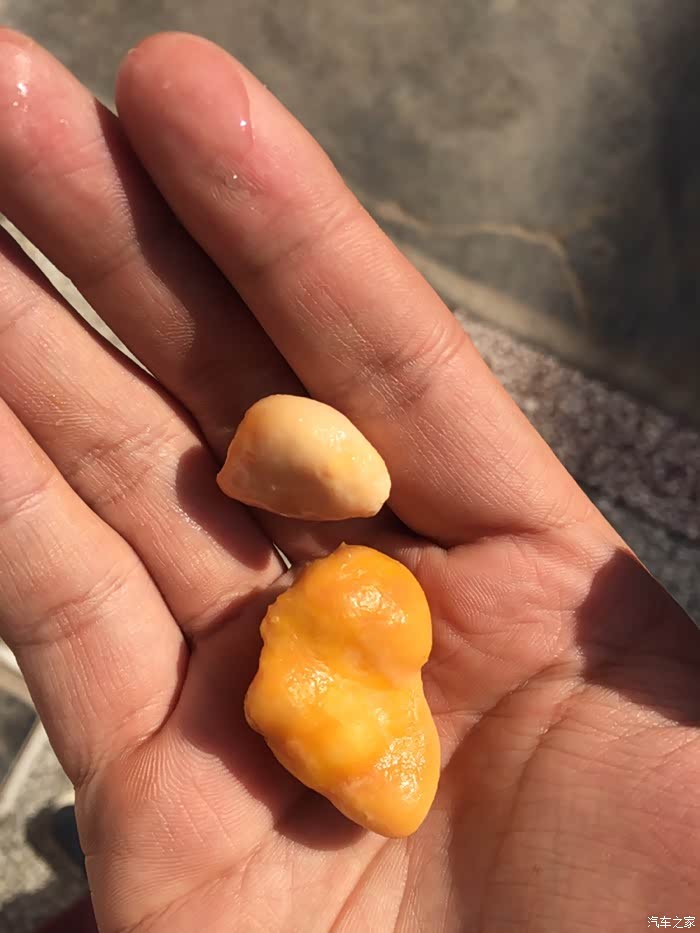 大家谁了解鸡宝吗