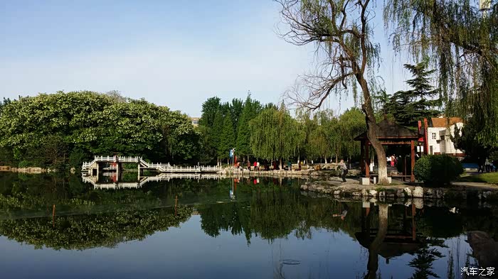 焦作市内月季公园清晨游园记