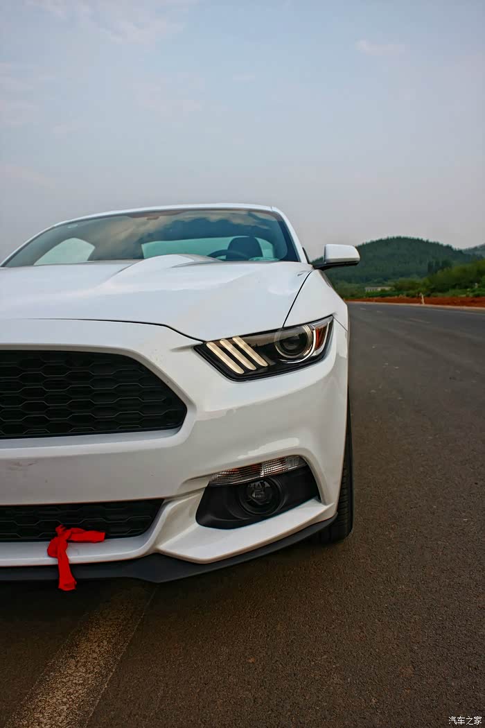 3t 白色野马 提车!野马脱缰】