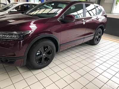 老婆最爱的罗曼紫皓影